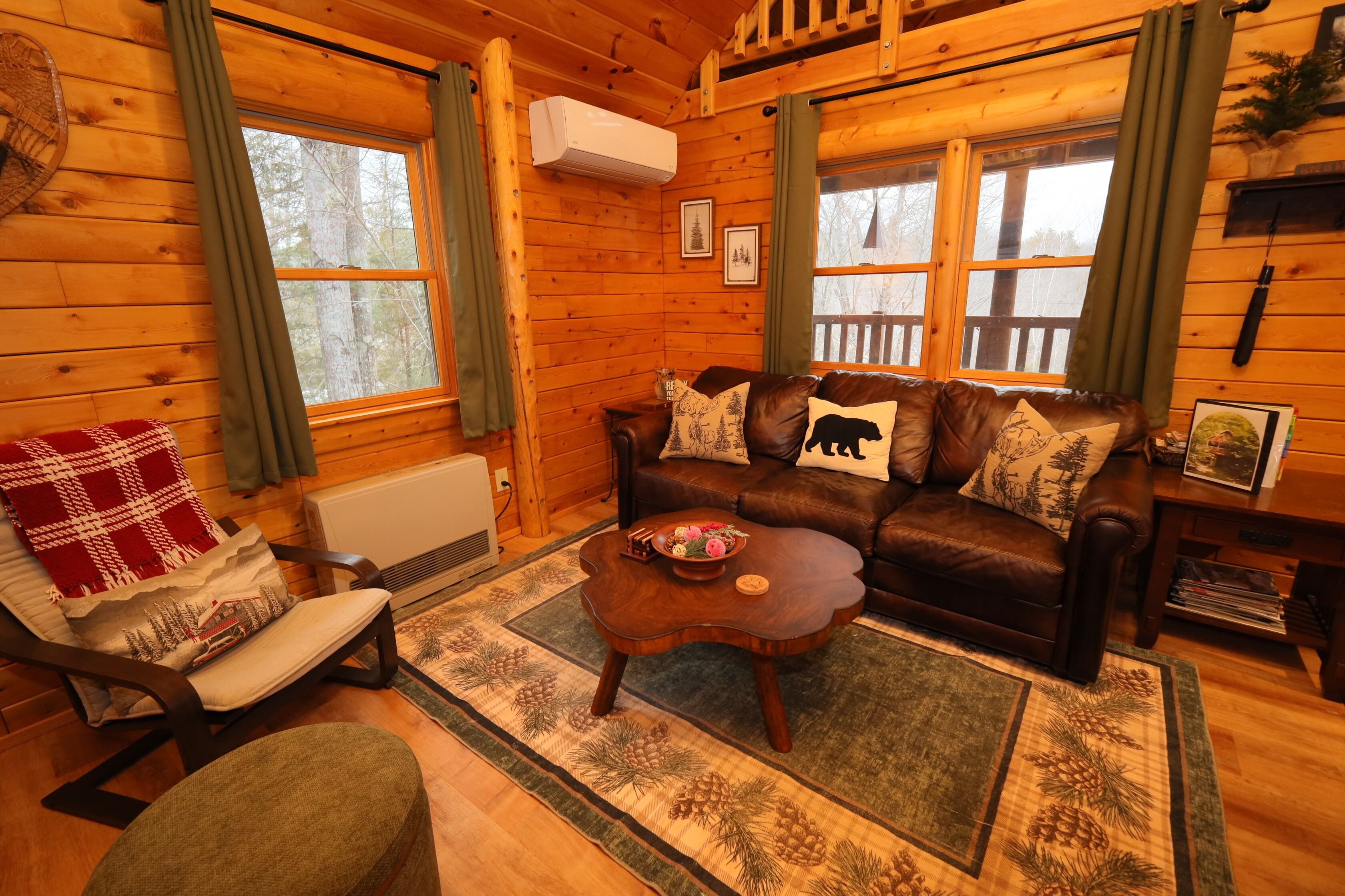 Smart TV, fireplace, DVD player, books