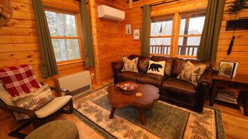 Smart TV, fireplace, DVD player, books