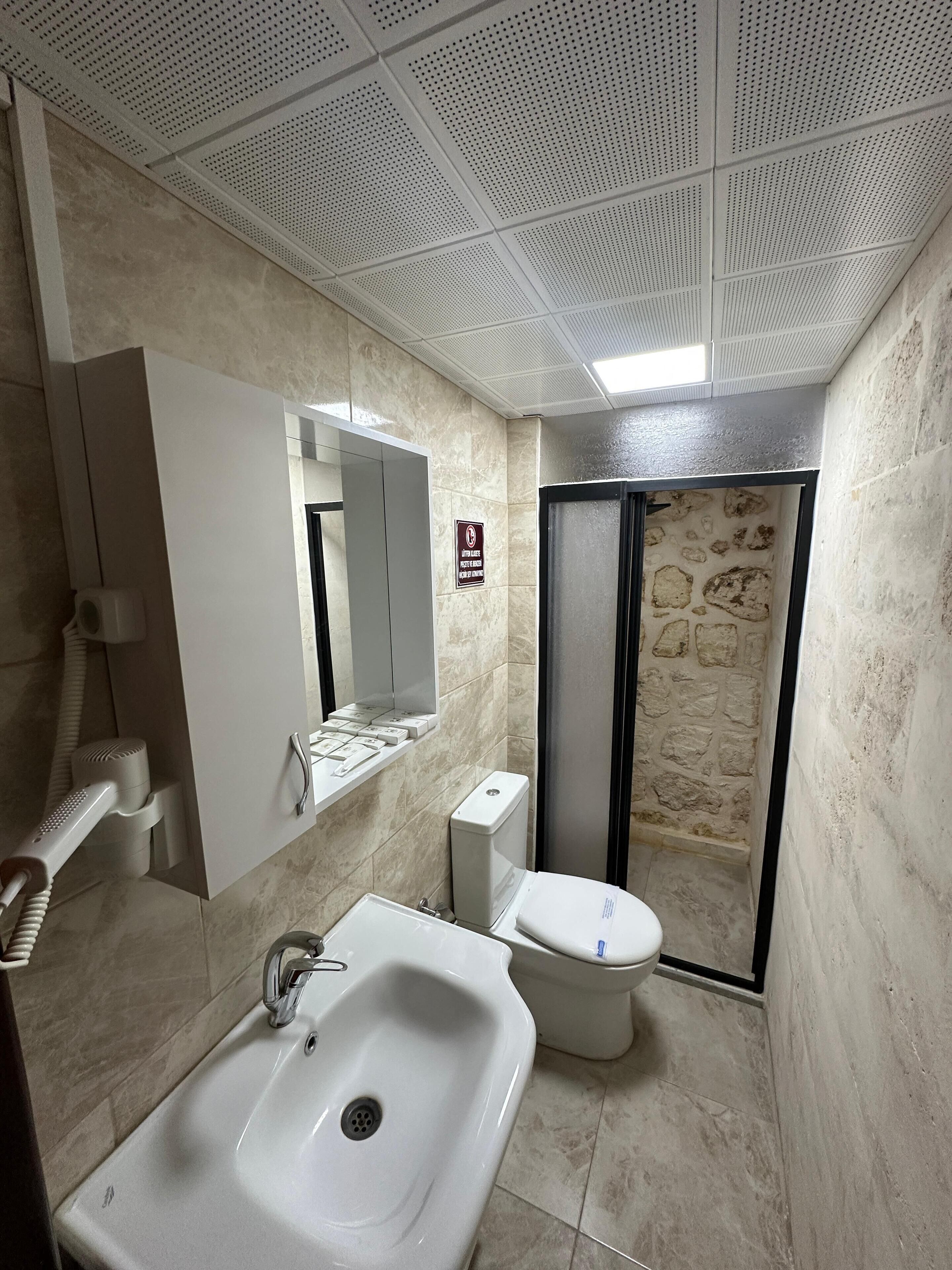 Baño con lavamanos, inodoro y ducha.