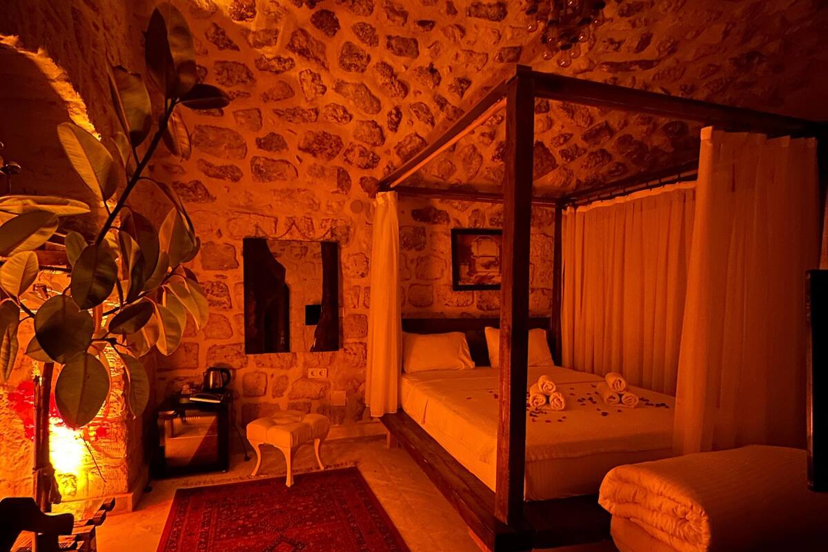 A room with a stone wall, a four-poster bed, a red rug, and a plant.