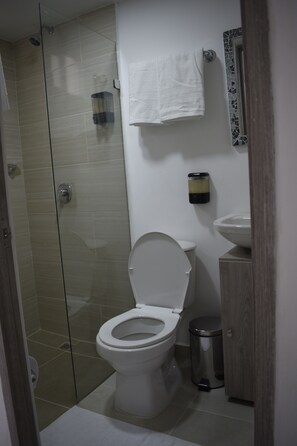 Douche, sèche-cheveux, serviettes fournies, savon