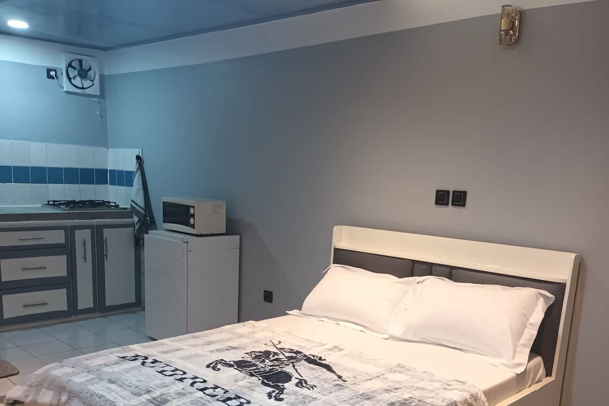 A bedroom with a bed, a small kitchenette, and a bathroom.