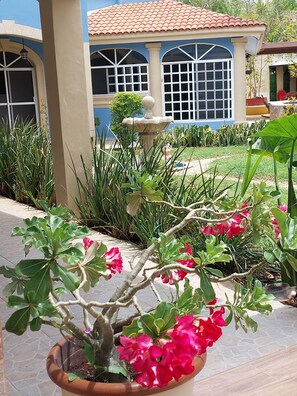 Exterior - Hospedaje Serenity Home Mérida (Mérida)