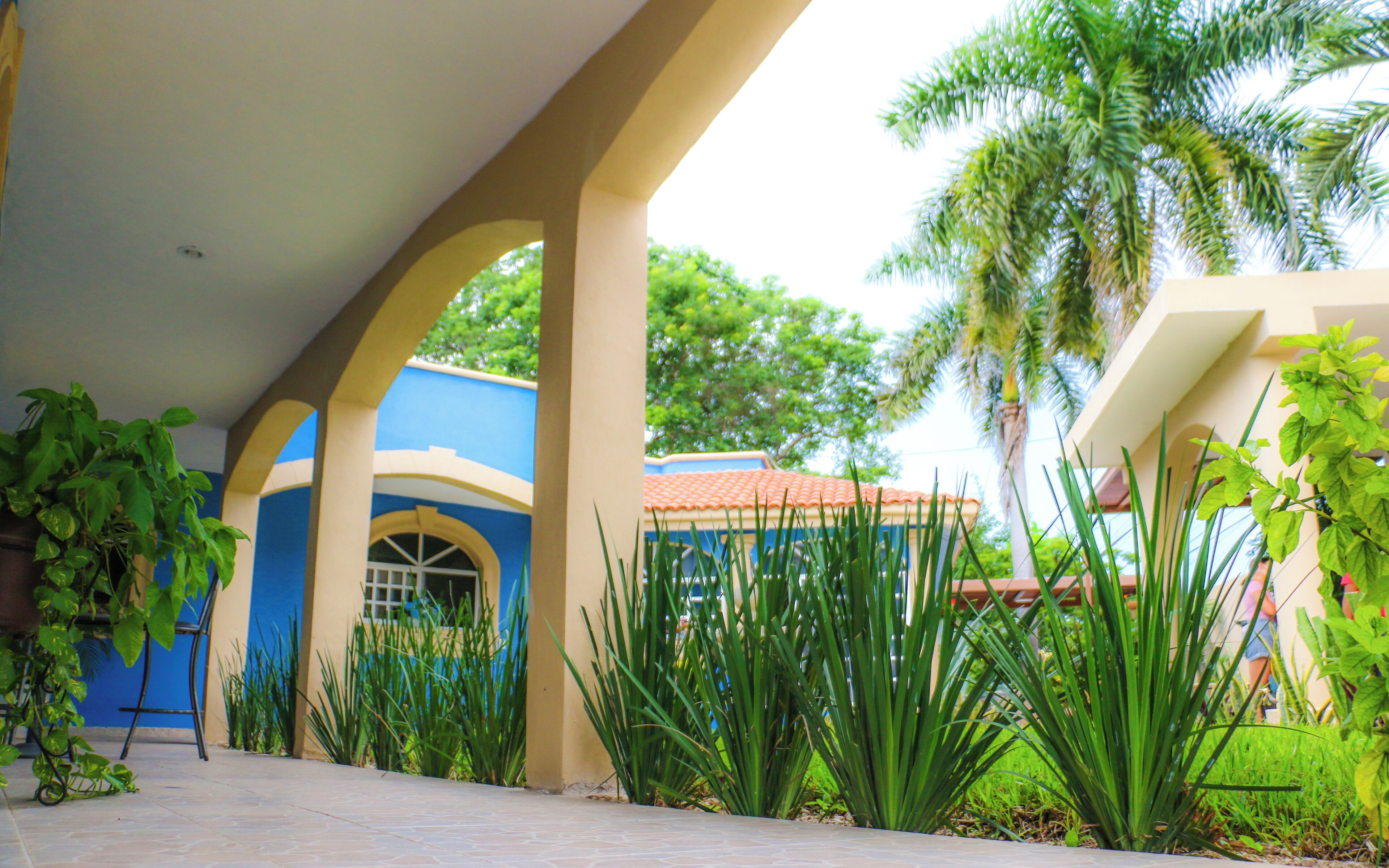 Habitación doble Confort | Terraza o patio