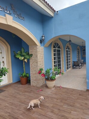 Terrace/patio - Hospedaje Serenity Home Mérida (Mérida)