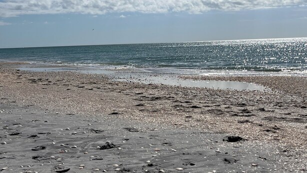 Une plage de galets et de sable, un ciel dégagé et une mer calme.