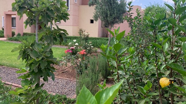 A building with a flat roof and a garden with various plants and flowers.