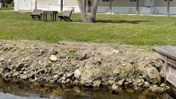 A single-story mobile home with a small deck and a grassy yard. - Country fishing paradise (Moore Haven)