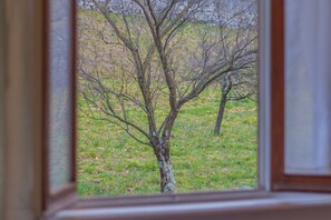 House, Lake View | View from room