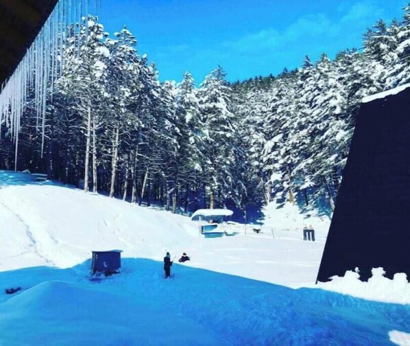 Wintersport/Ski