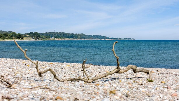 A pebbled beach with a wooden structure extending into the water.