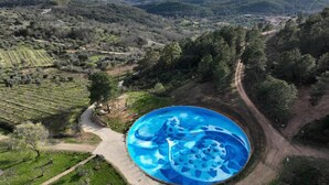 A large blue water feature in a rural setting with surrounding fields and distant mountains. - Un Lujo a tu Alcance (Salamanca)