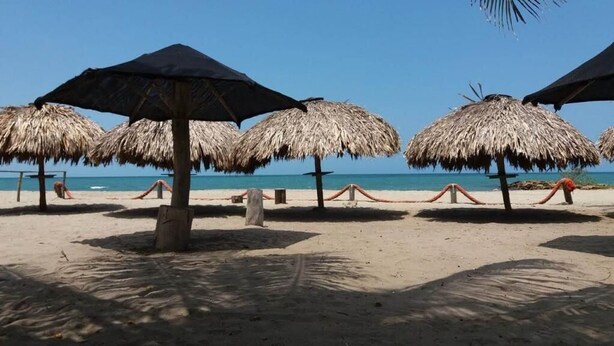 A beach with thatched umbrellas and a clear view of the ocean. - Las acacias Tolu (Tolú)