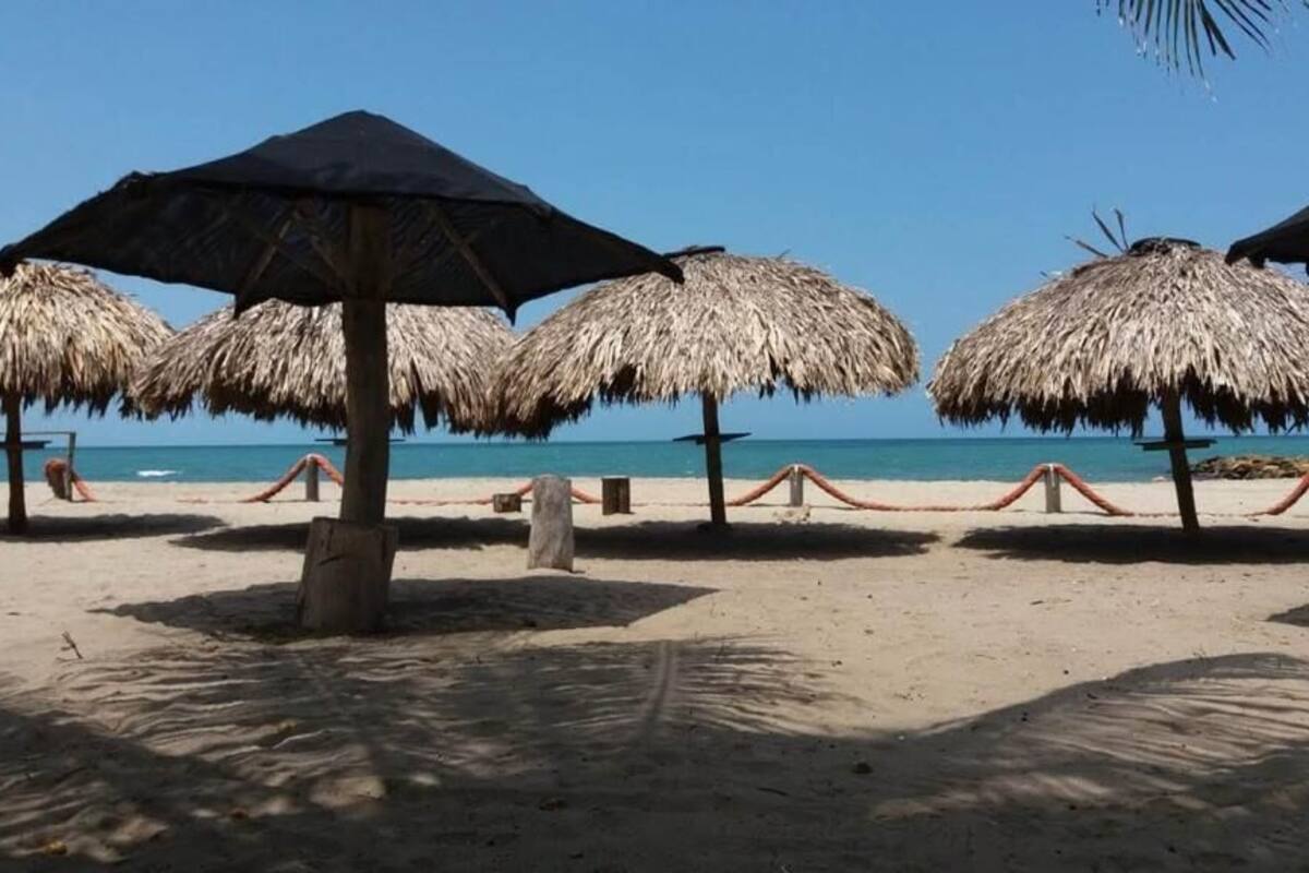 Una playa con sombrillas de paja y una vista despejada del océano.
