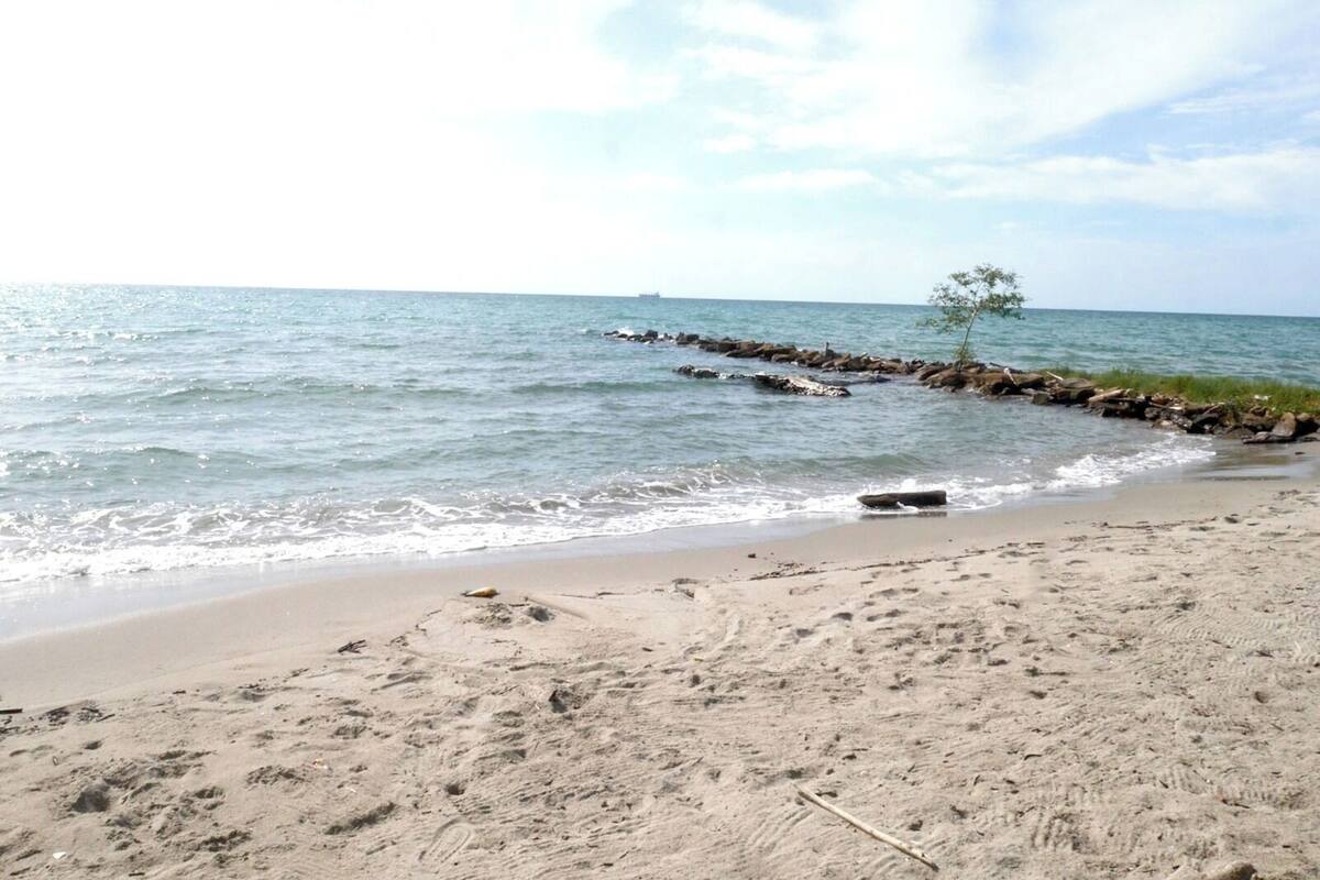 Una playa arenosa con olas tranquilas, un rompeolas rocoso y cielo despejado.