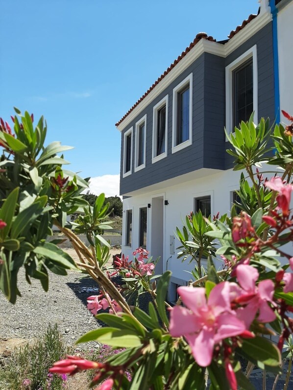 Building design - Adaloca Otel (Bozcaada)