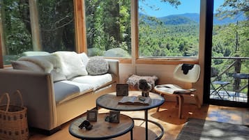 TV, fireplace, books