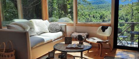 电视、壁炉、书