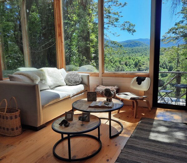 Televisión, chimenea y libros 