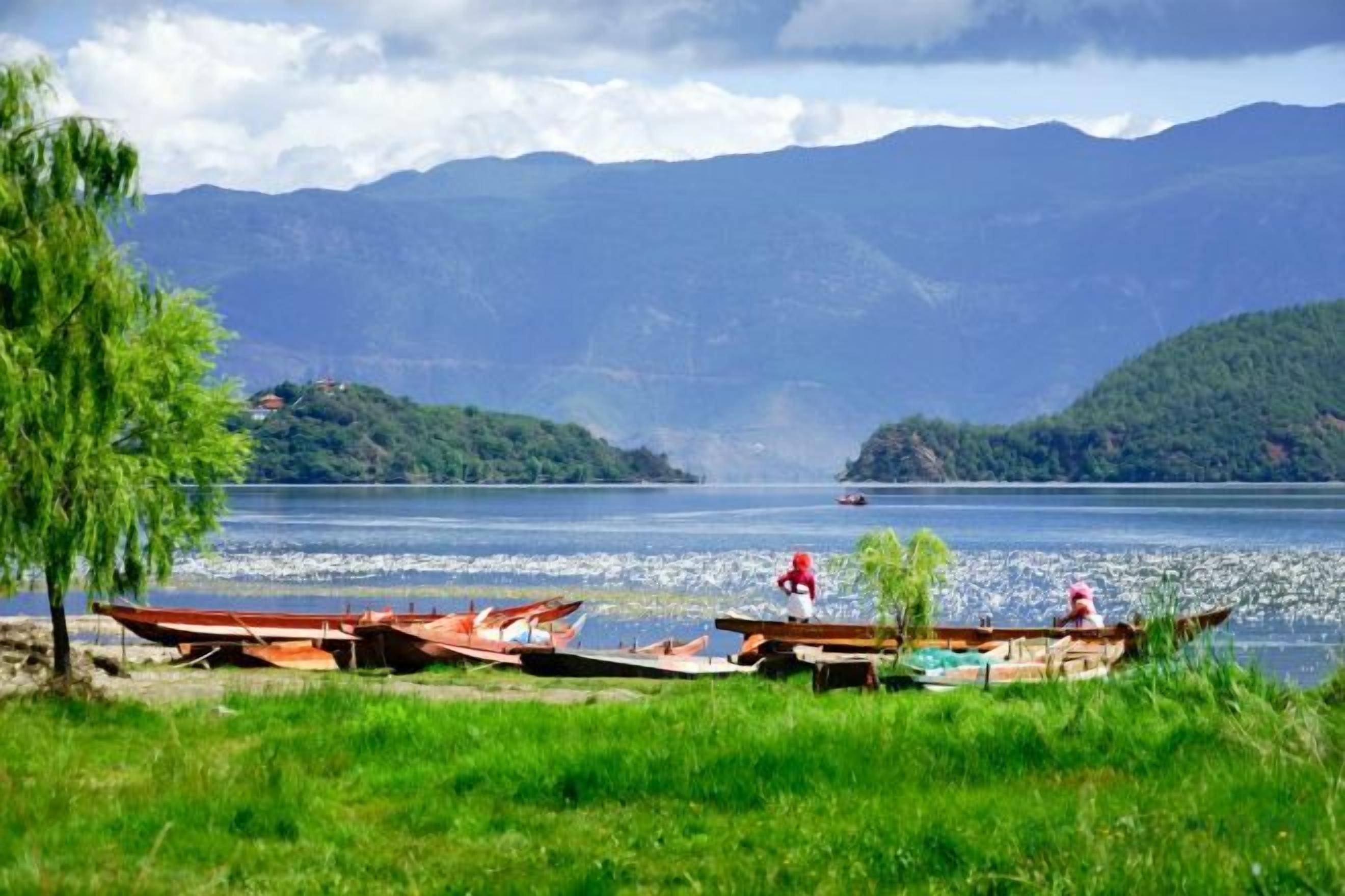 Vista de un lago con barcos, un árbol y montañas al fondo.