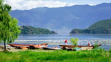Vista de un lago con barcos, un árbol y montañas al fondo.