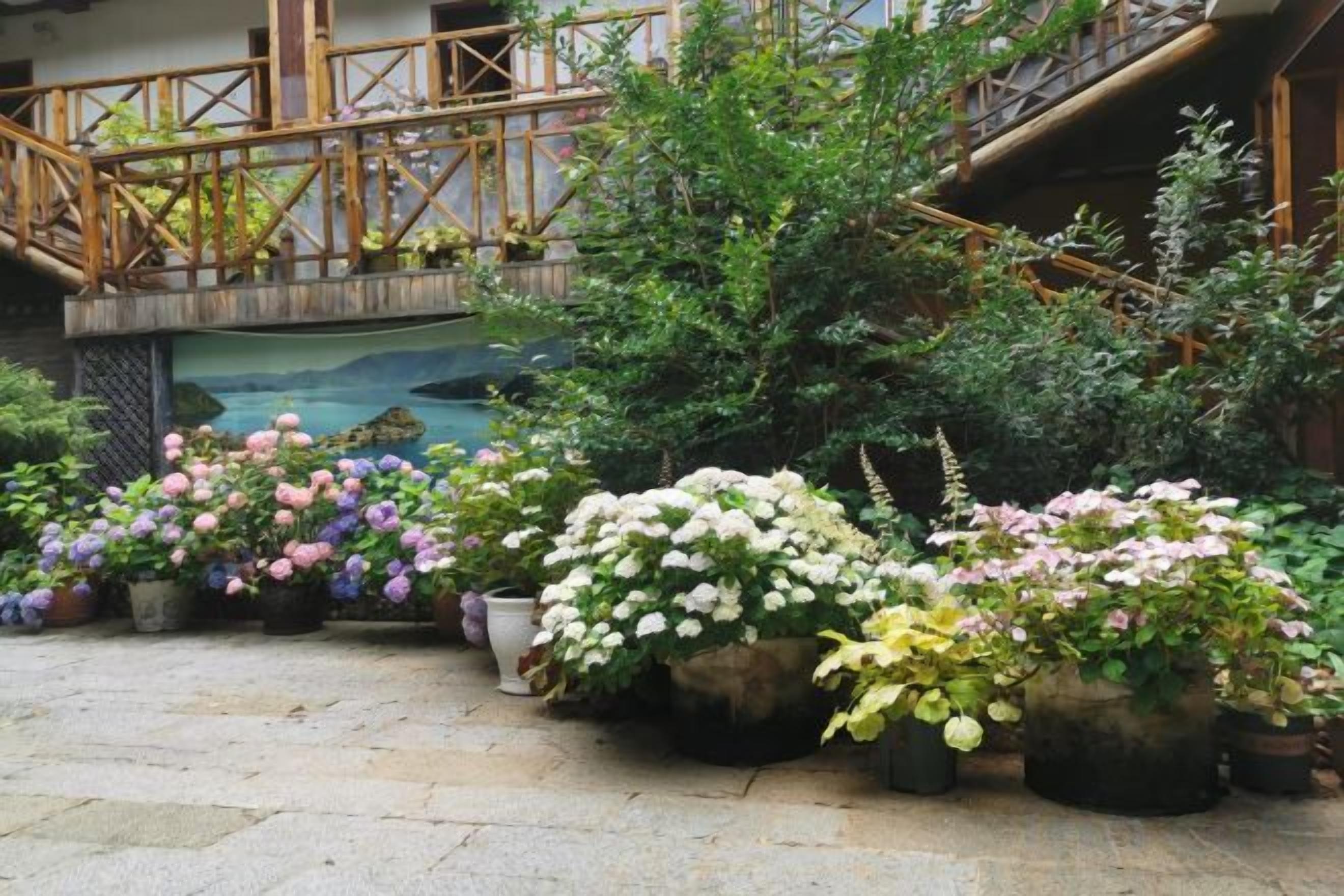 Un patio con plantas en macetas y un puente de madera.