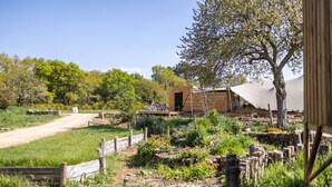 A rustic wooden building with a small open doorway, surrounded by a garden with various plants and flowers, a dirt path leading to it, and a large tree to the right.