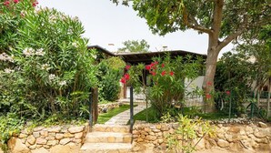 A stone pathway leading to a house with a covered porch, surrounded by lush greenery and flowering plants.