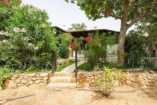 A stone pathway leading to a house with a covered porch, surrounded by lush greenery and flowering plants.