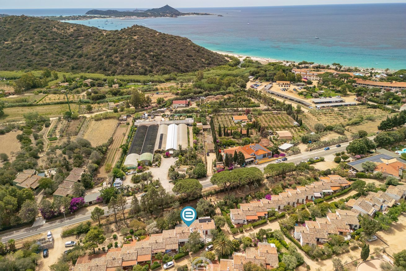 Vista aérea de una zona residencial costera con casas, un viñedo y una playa.