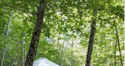 "Sunset Yurt" Off Grid Mountain Yurt
