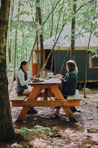 "Mt. Brook Yurt" Off Grid Mountain Yurt