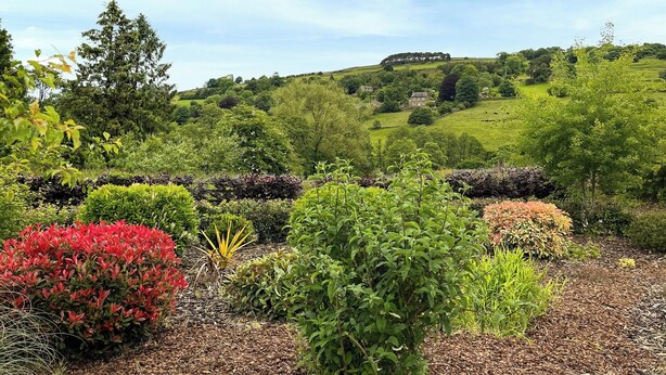 A landscaped garden with various shrubs and trees, a hill with a house in the background, and a clear sky.