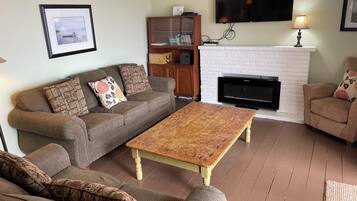 Smart TV, fireplace, DVD player, video library