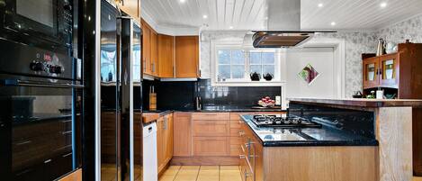 Fridge, oven, stovetop, dishwasher