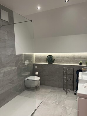 Ducha, secador de pelo, toallas, papel higiénico