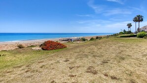 A coastal landscape with a beach, a grassy area, and a small building.