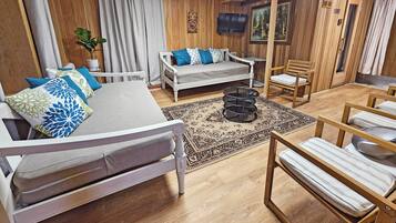 Smart TV, fireplace, table tennis, books