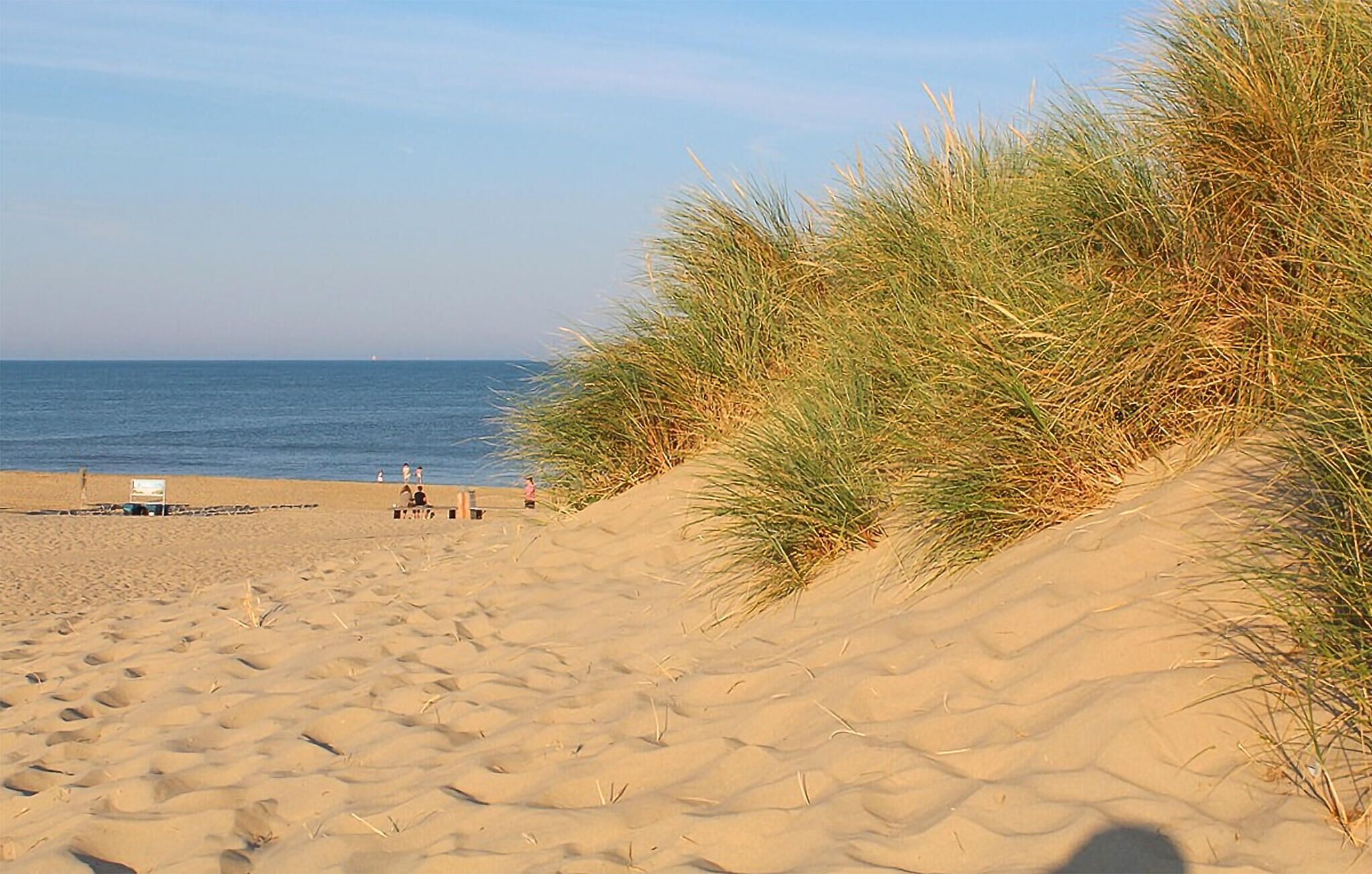 Beach nearby, fishing