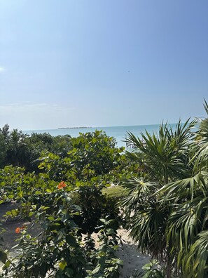 Sun-loungers, beach towels