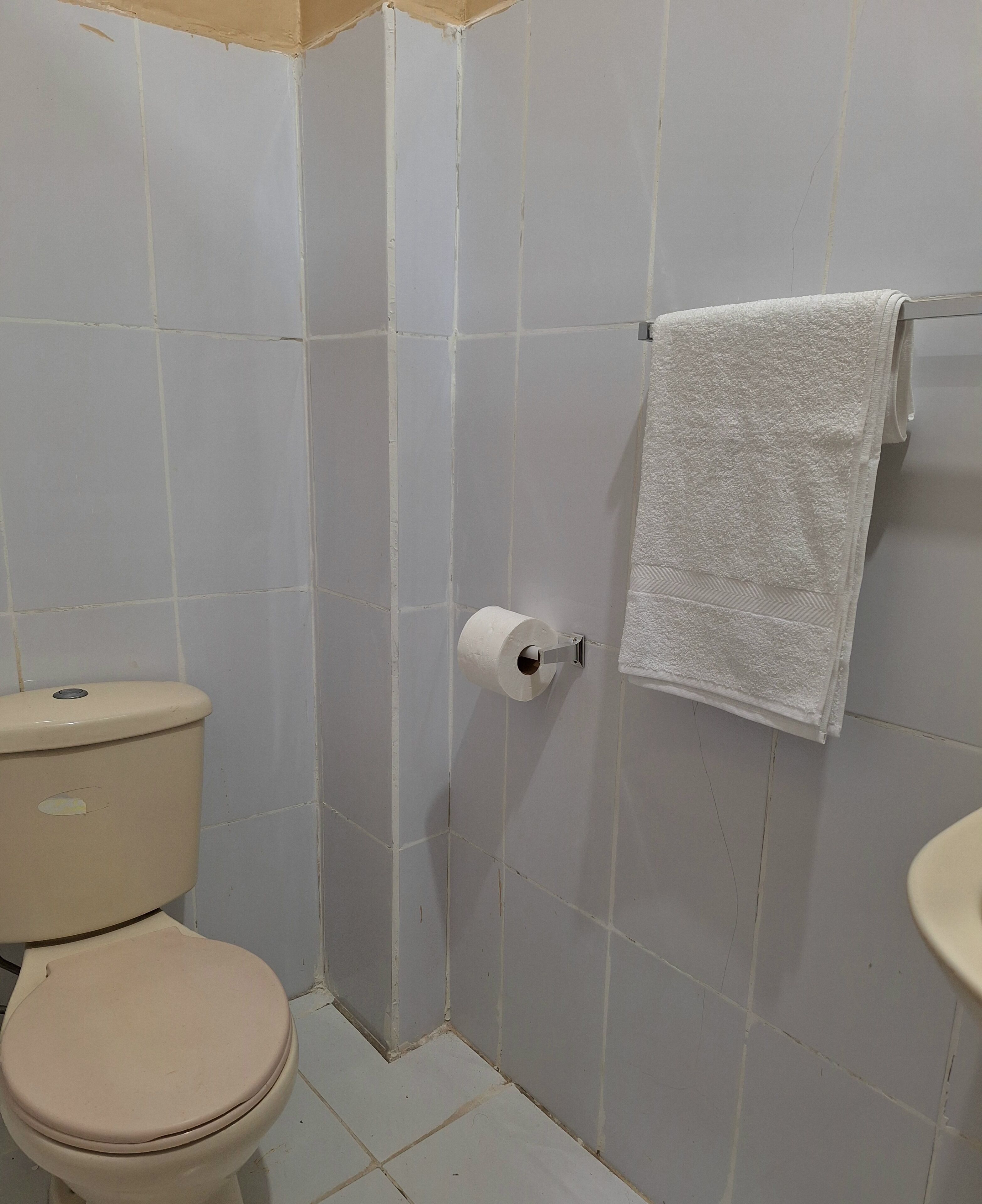 A bathroom with a toilet, a towel hanging on a rack, and a roll of toilet paper on the wall.