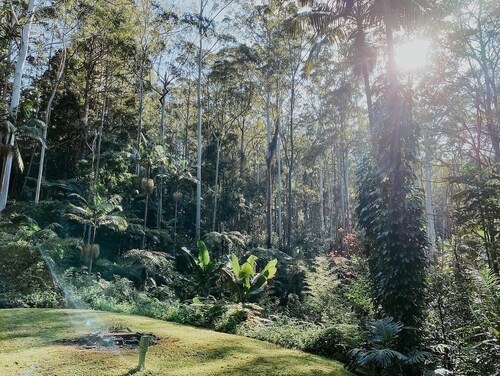 Pet Friendly Private Bush Cottage