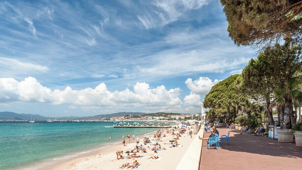 A beach with people sunbathing and swimming, a clear sky, and a cityscape in the background.