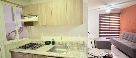 Apartemen Klasik, 3 kamar tidur, dapur, pemandangan kota | Dapur pribadi | Lemari es, microwave, mesin pencuci piring, dan pemanggang roti