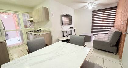 Torre Federacion 201 Zona Centro Guadalajara