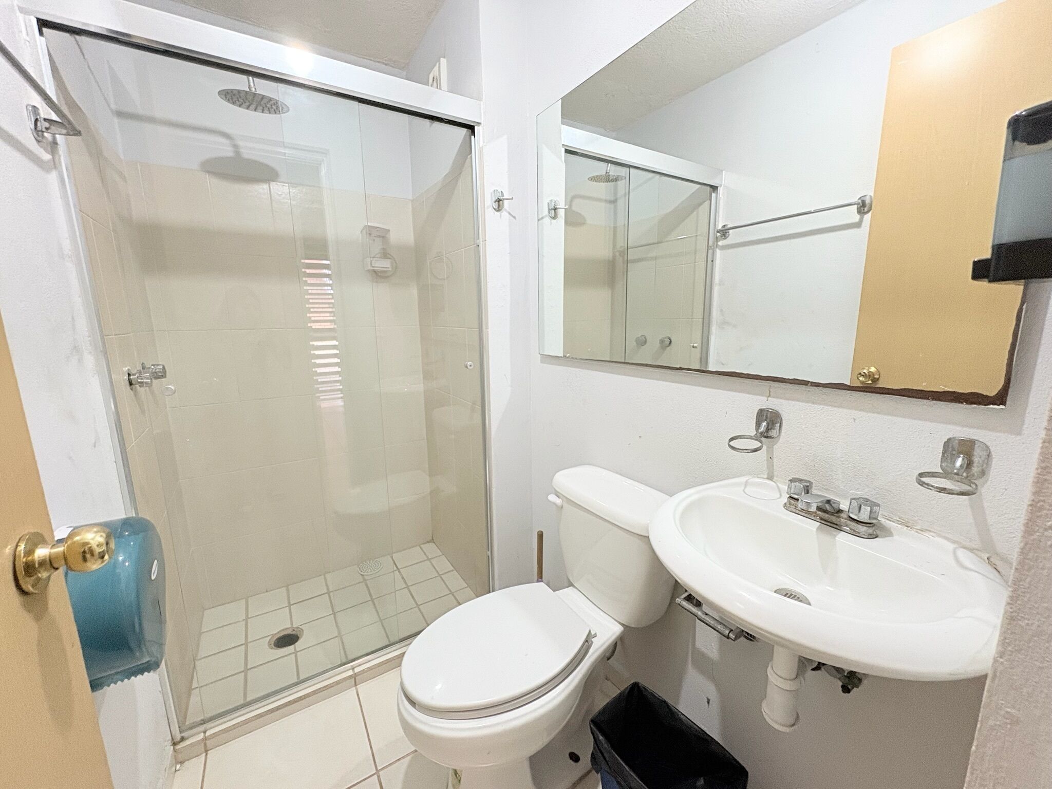 A bathroom with a glass-enclosed shower, a toilet, and a sink with a mirror above it.
