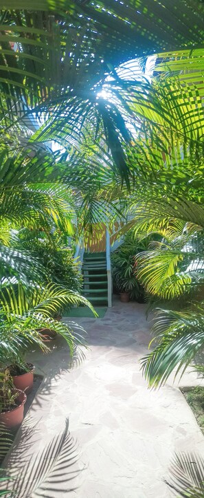Interior - Aloha Lina (Máncora)