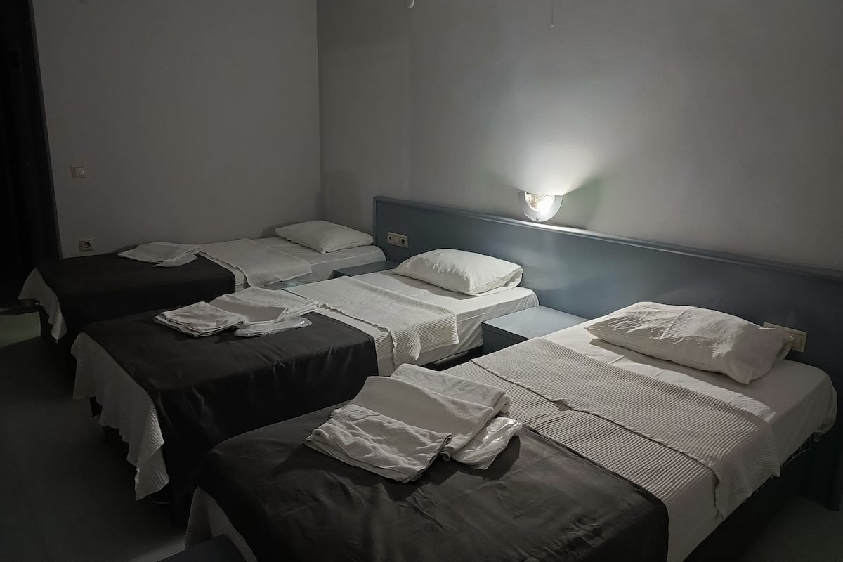 Eenvoudige driepersoonskamer | 1 slaapkamer, een bureau, een laptopwerkplek, gratis wifi