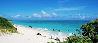 A detached house in a great location just 1 minut / Ishigaki Okinawa