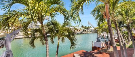 Àrea exterior de l'allotjament